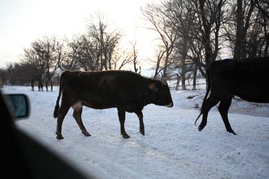 Kyrgyz2012_1_33